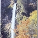 Polsko-skakavishki